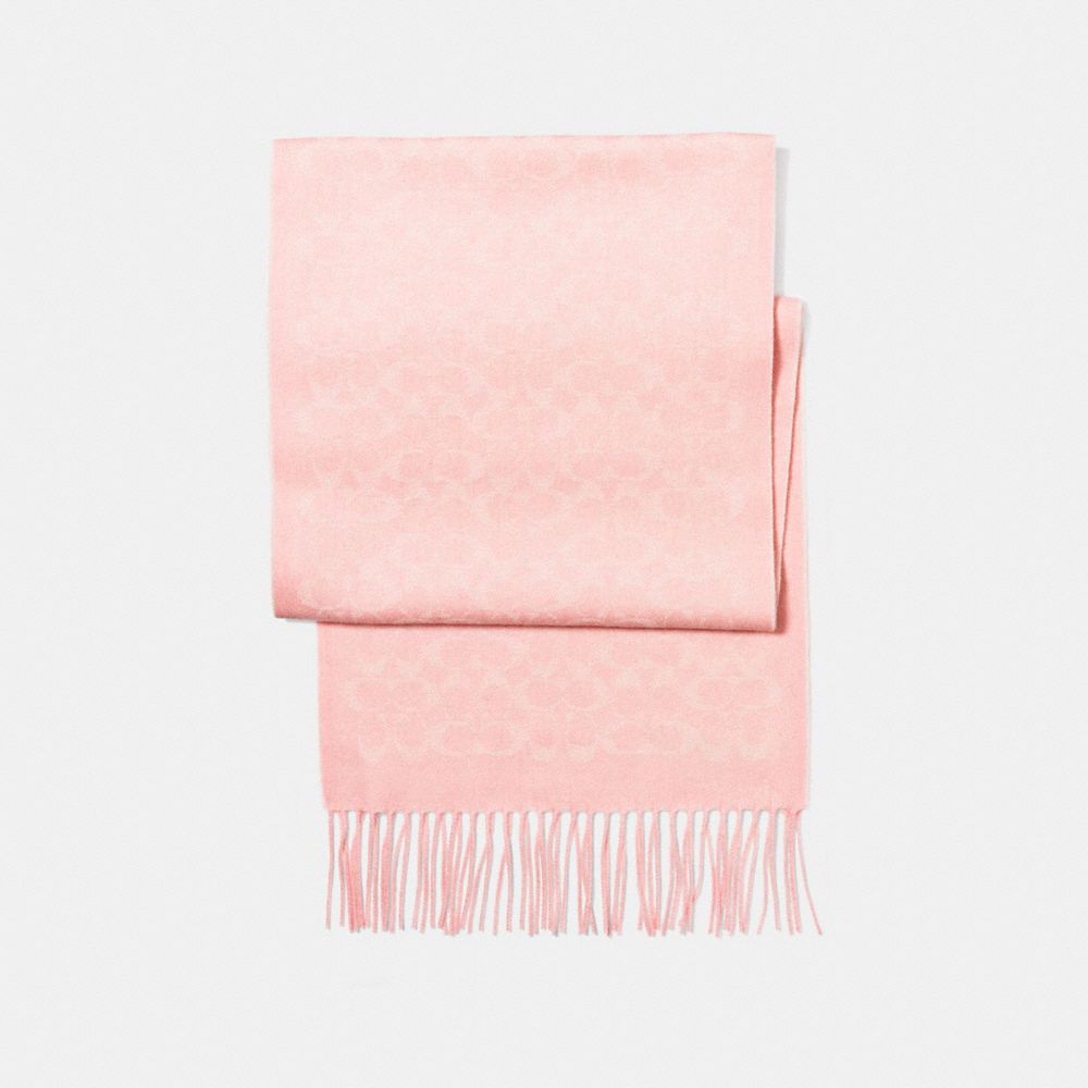 Signature Coach Scarf
