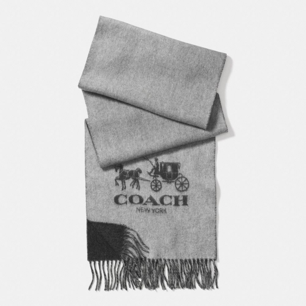 COACH Mens Scarves Cashmere BiColor Scarf