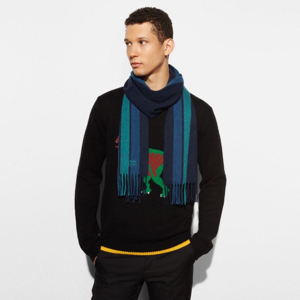 COACH Varsity Stripe Scarf