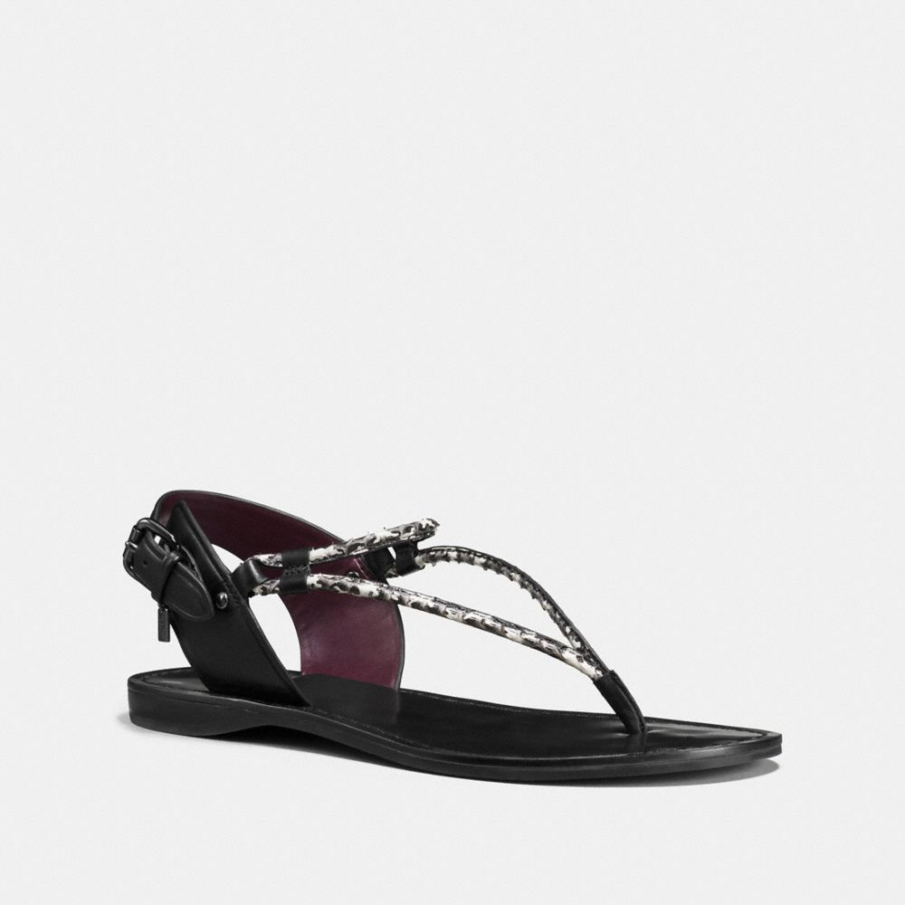 COACH Clarkson Sandal