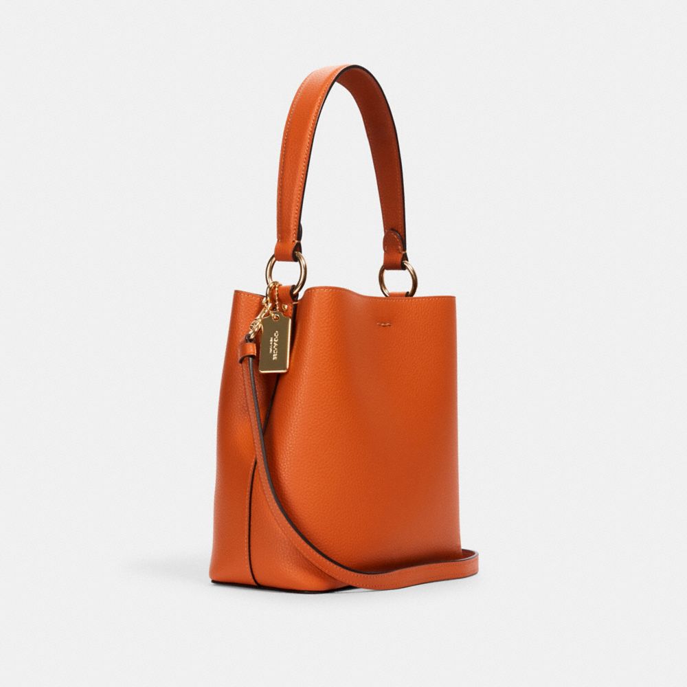 Coach Small Town Bucket Bag White IUCN Water