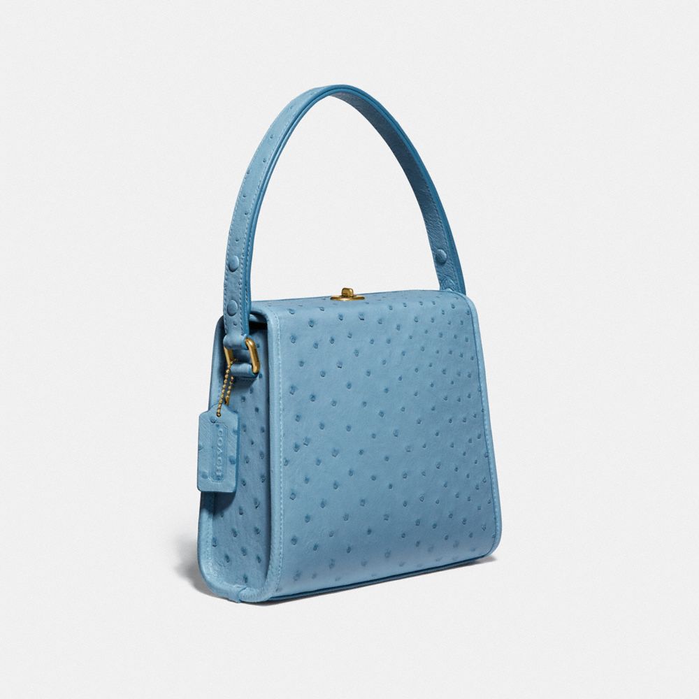 coach ostrich purse