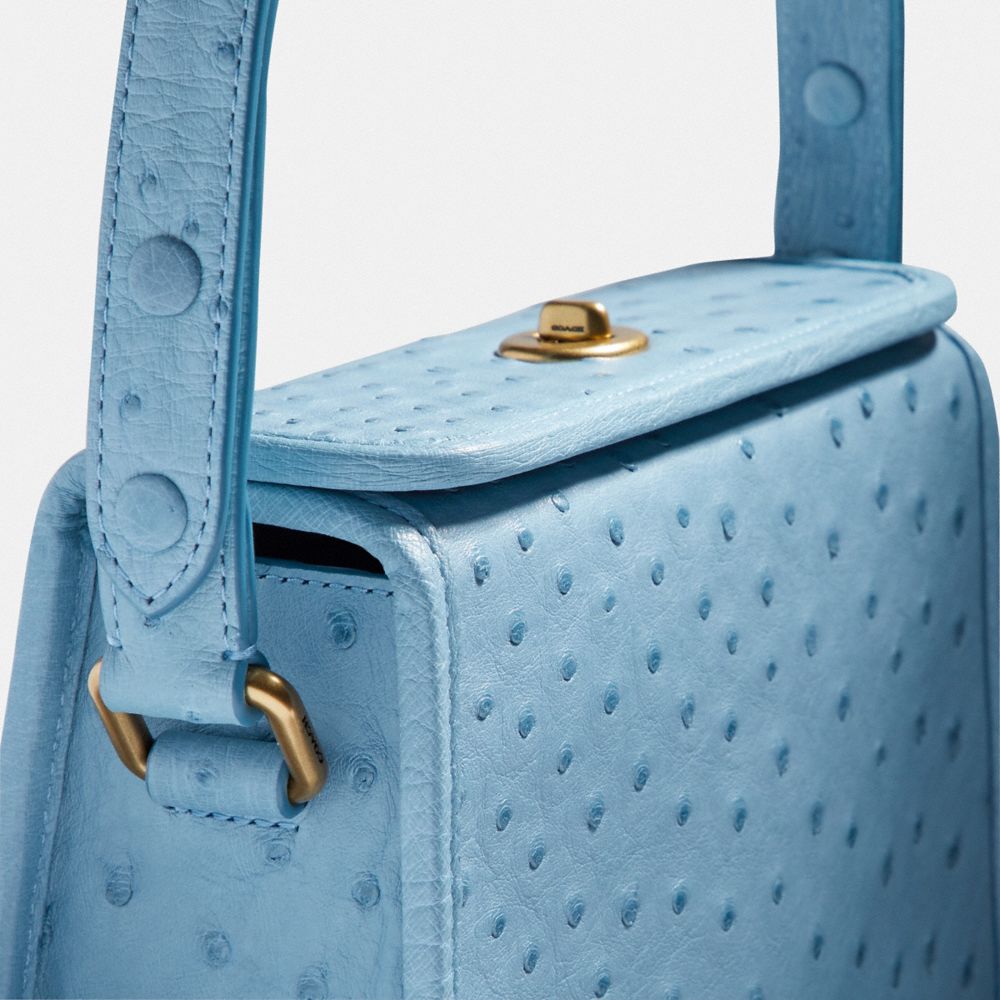 coach ostrich purse