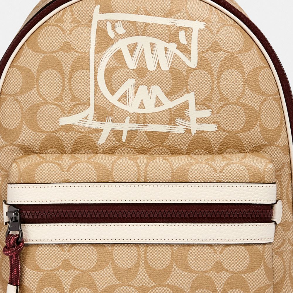 Coach vale discount medium charlie backpack