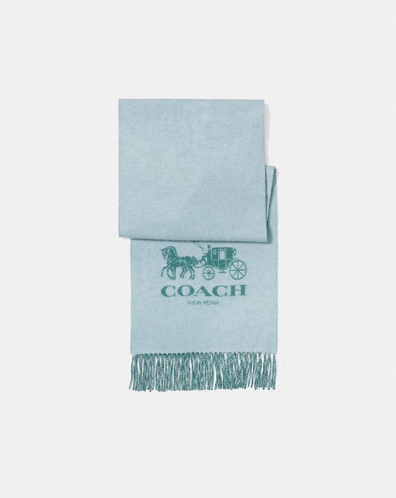 COACH: Horse and Carriage Bicolor Cashmere Muffler