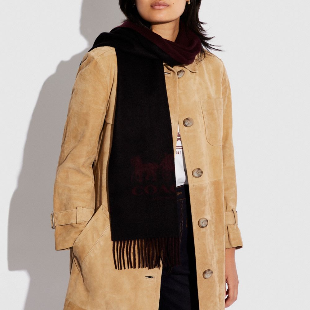 COACH: Bufanda el caballo y el carruaje