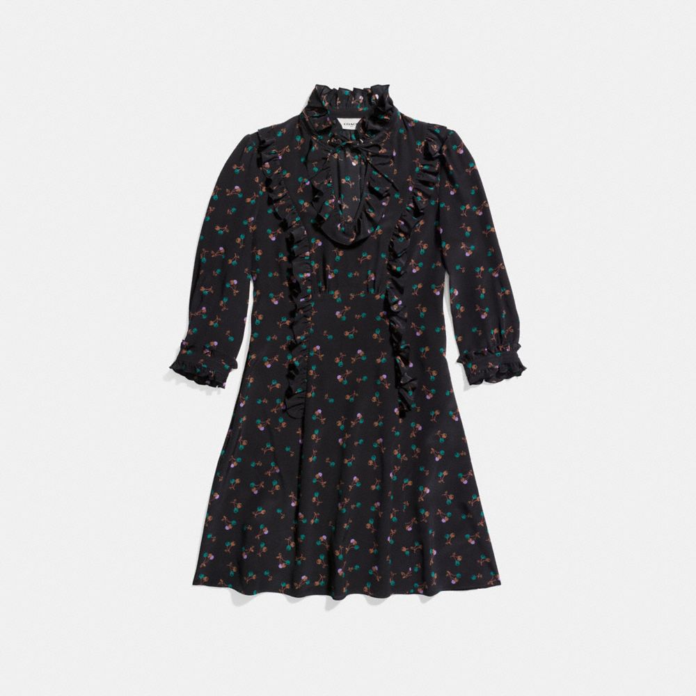COACH Western Shirt Dress