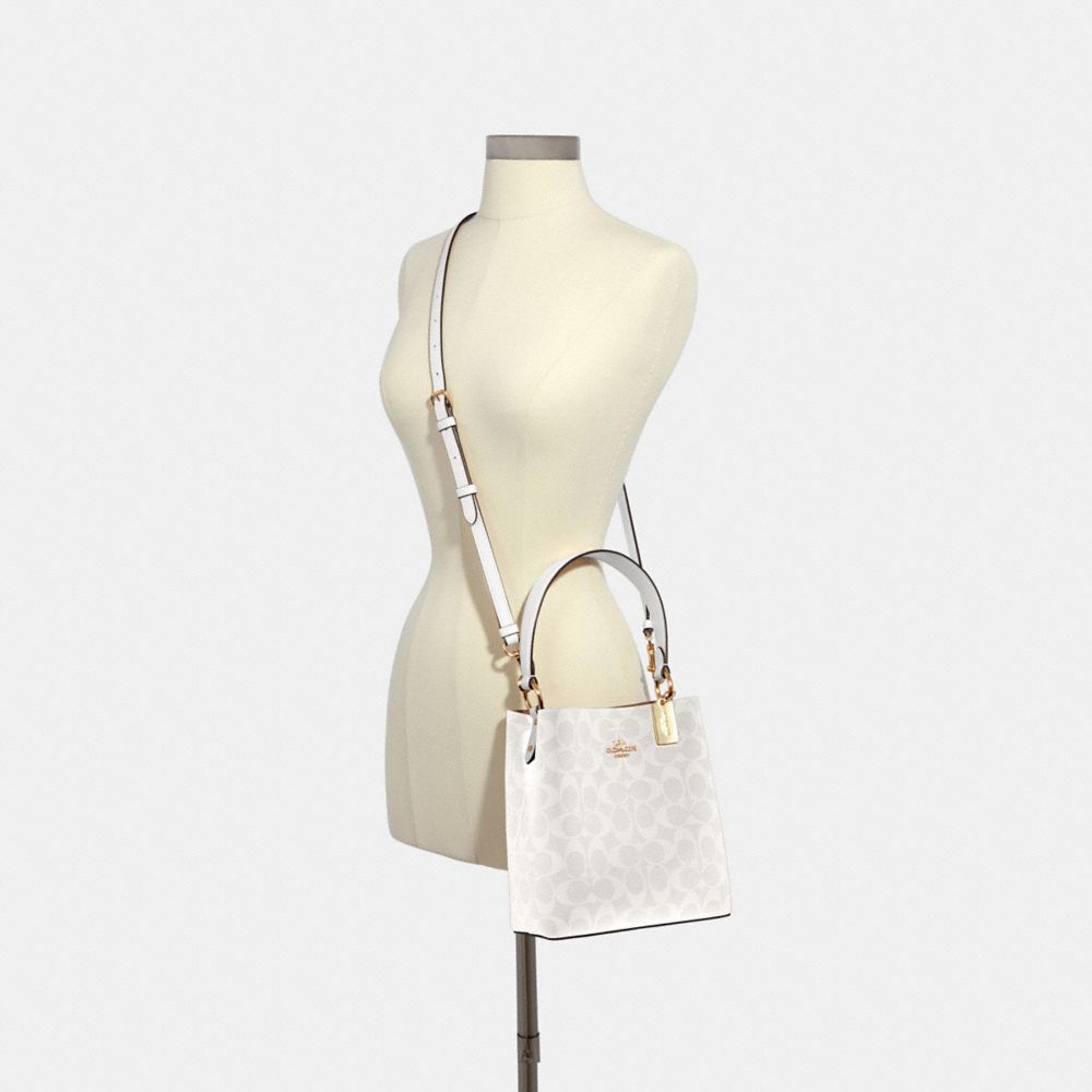 Coach Small Town Bucket Bag