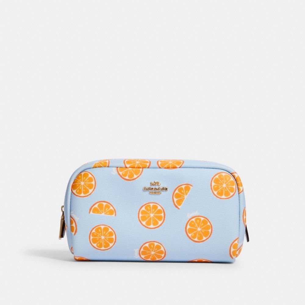 coach cosmetic bag