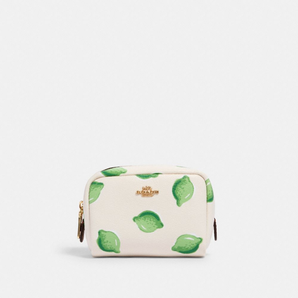 coach cosmetic bag