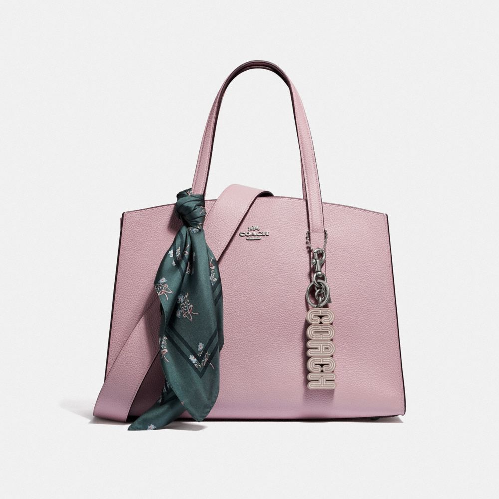 christian dior mini