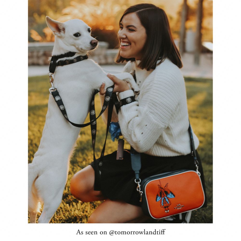teal purse coach