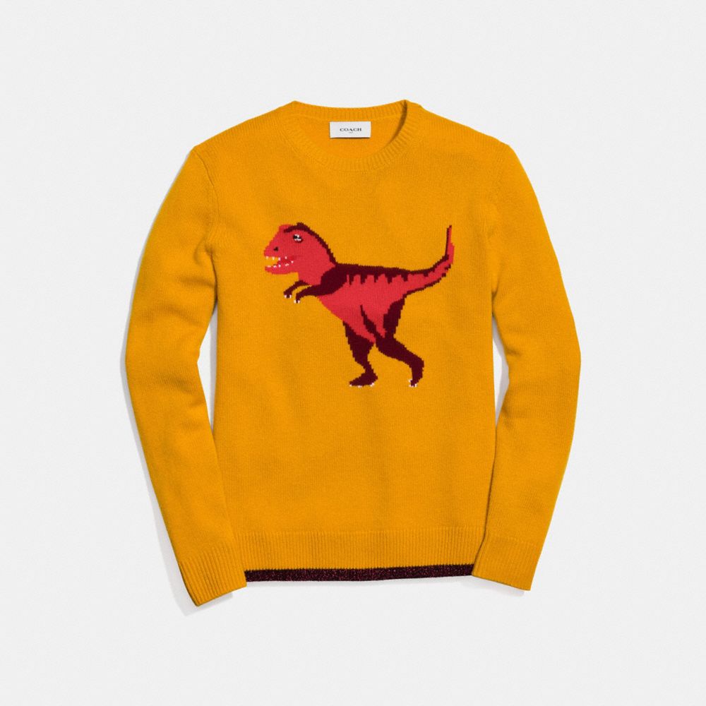 coach dinosaur sweater