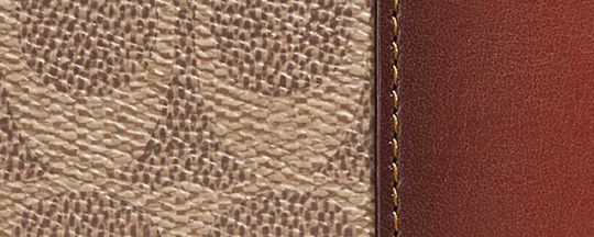 CANELA/&Oacute;XIDO/LAT&Oacute;N