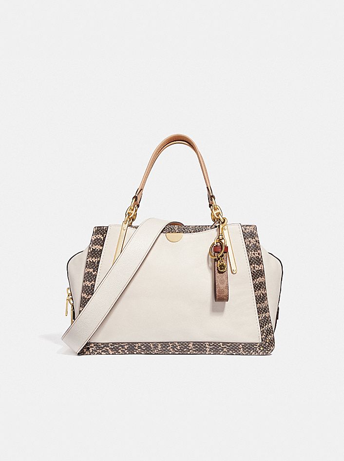 Dreamer 36 in Colorblock With Snakeskin Detail | COACH