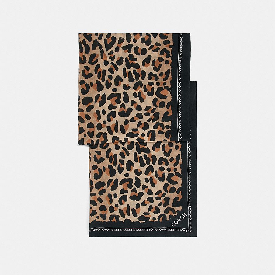 COACH: Leopard Print Scarf