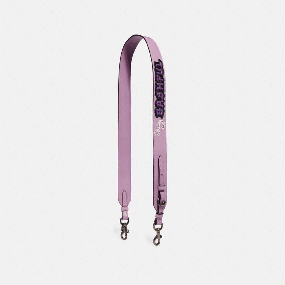 disney luggage strap