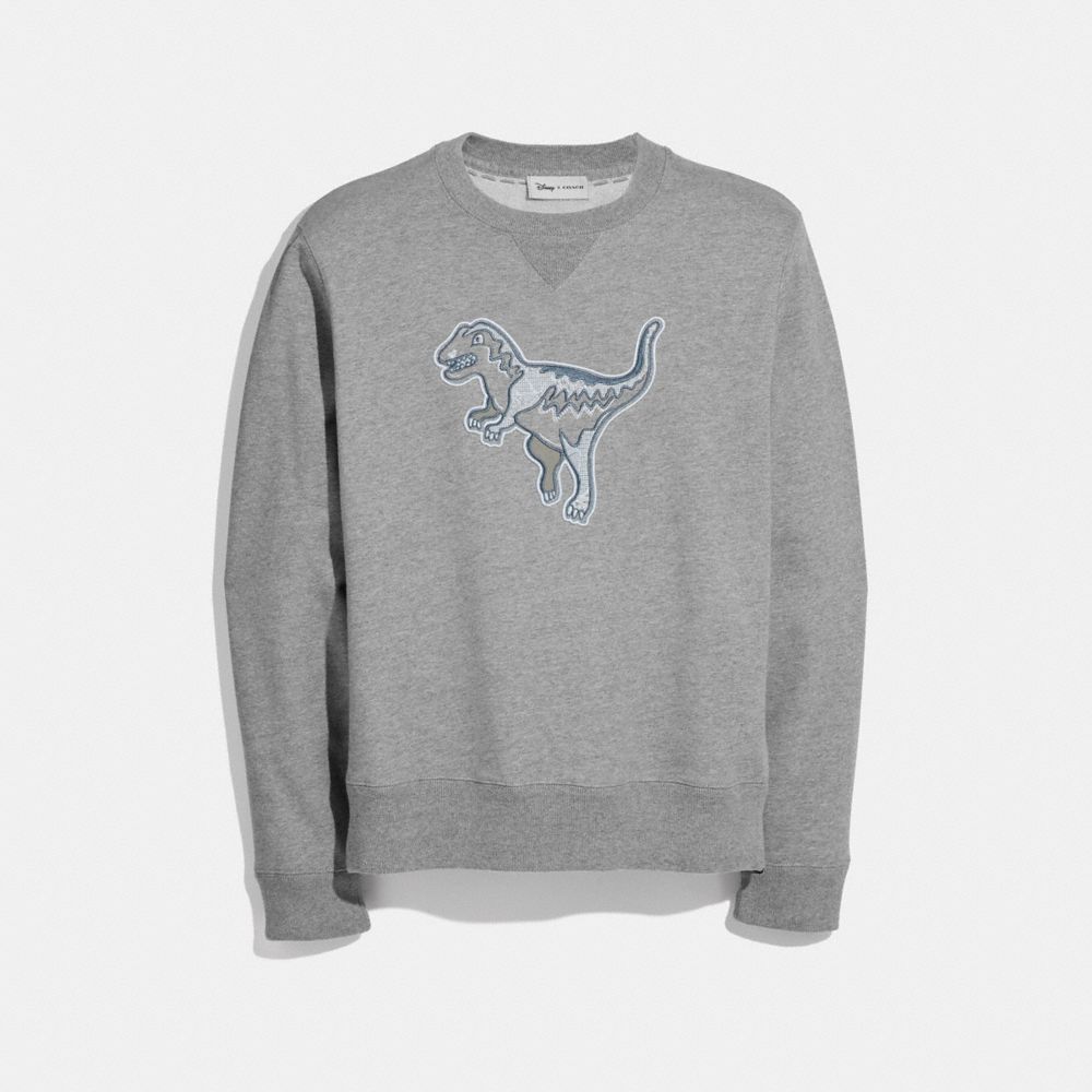 coach dinosaur sweatshirt