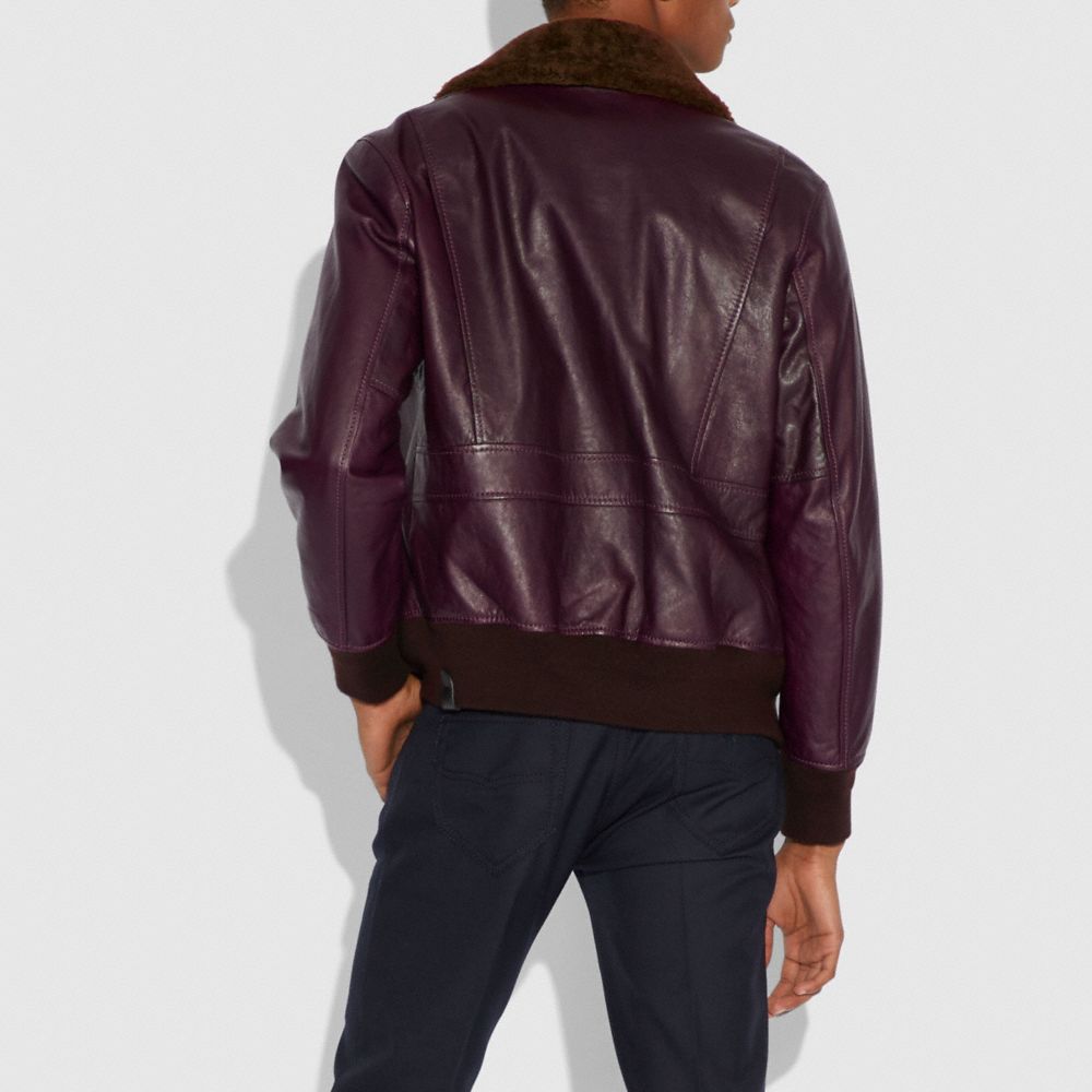 BOMBER WITH SHEARLING COLLAR - Alternate View 2