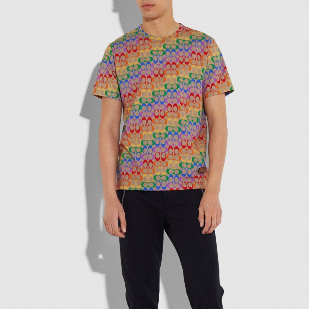 rainbow t shirt mens