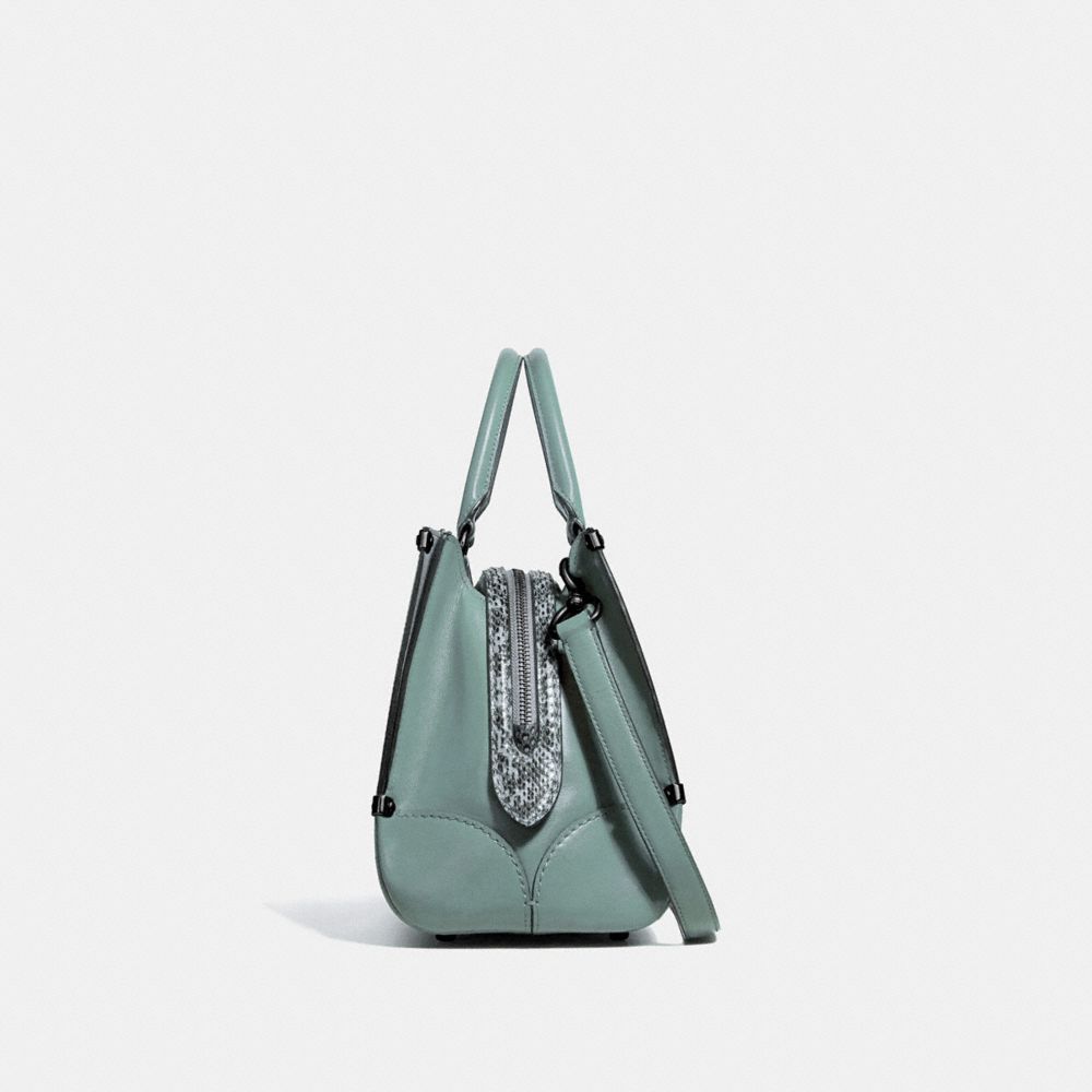 coach sage bag
