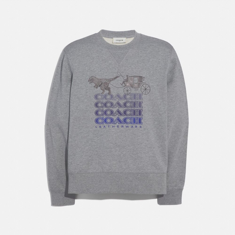 coach sweatshirt