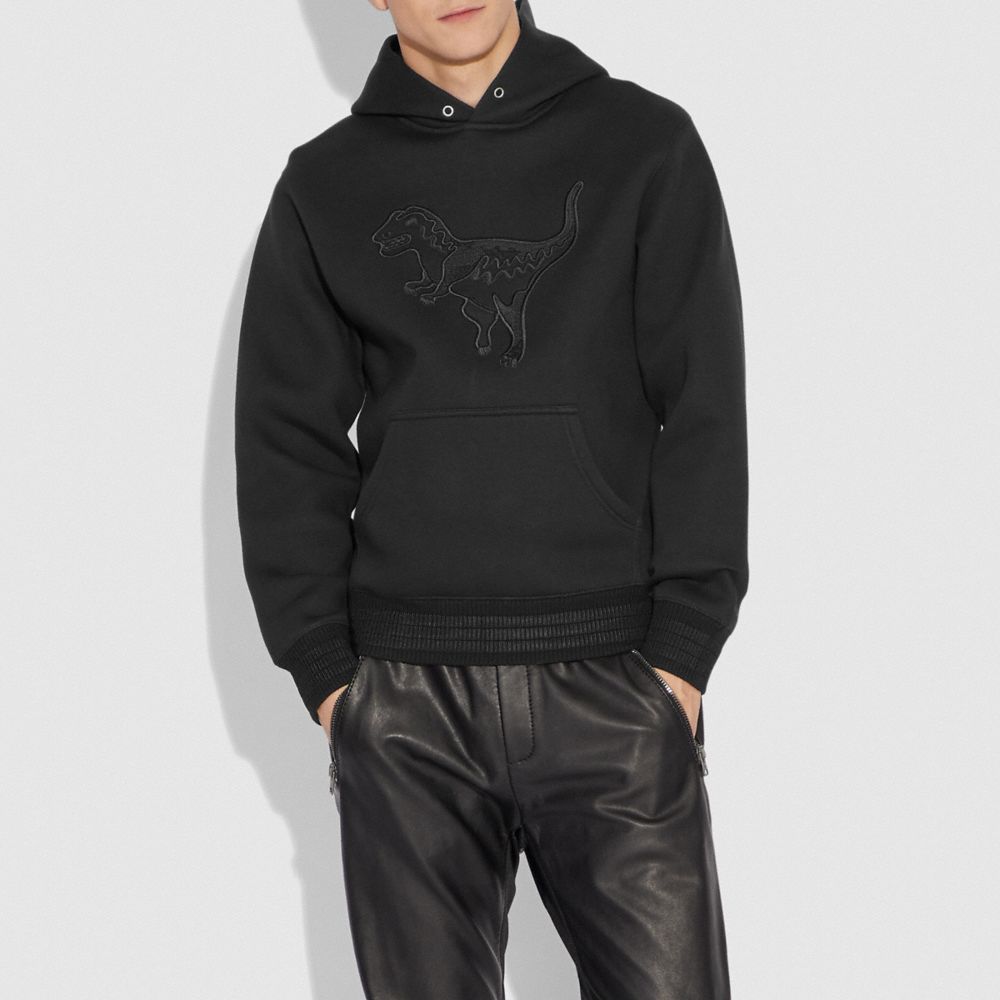 coach hoodie men