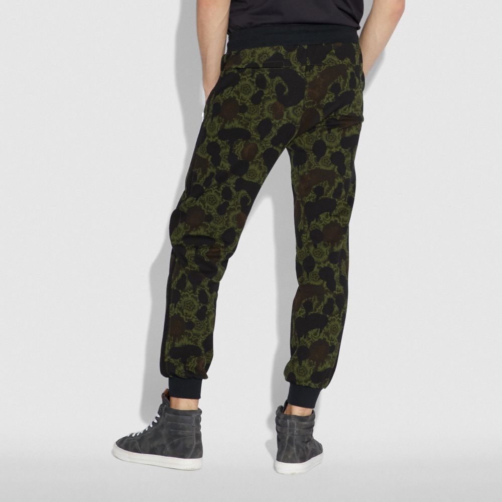 coach track pants