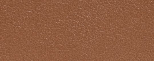 Brun&nbsp;1941/Dor&eacute; clair