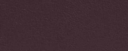 SANG-DE-B&OElig;UF/DOR&Eacute; CLAIR