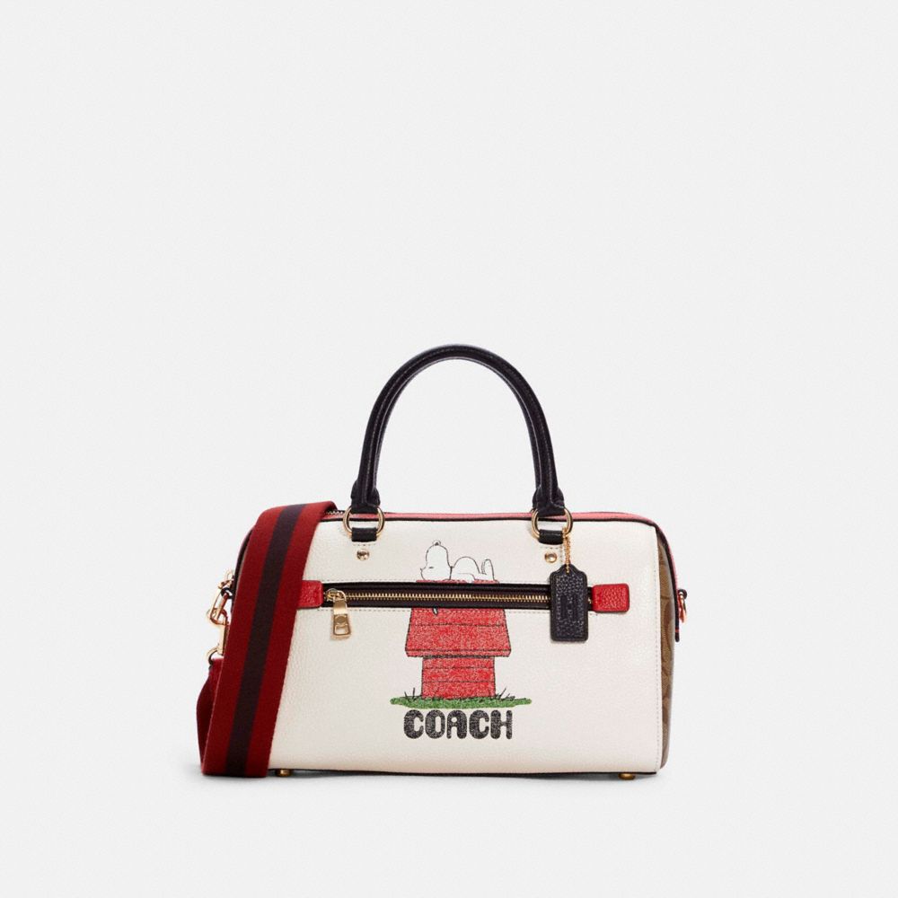 coach bag peanuts
