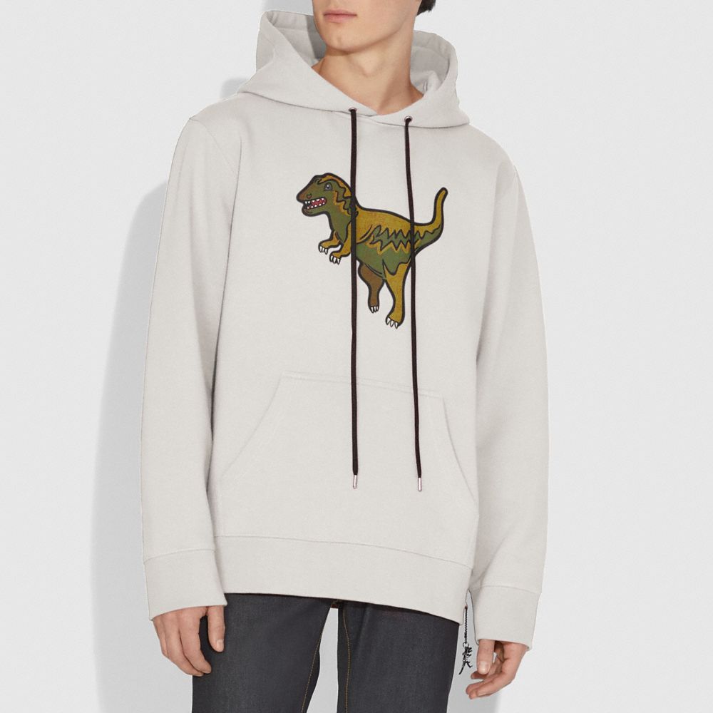 coach dinosaur hoodie