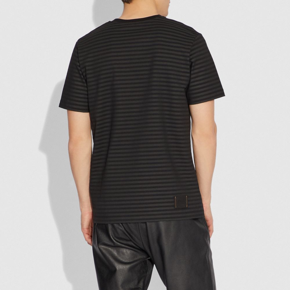 COACH Dinosaur Stripe Tshirt