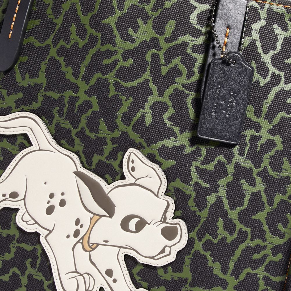 coach disney dalmatian