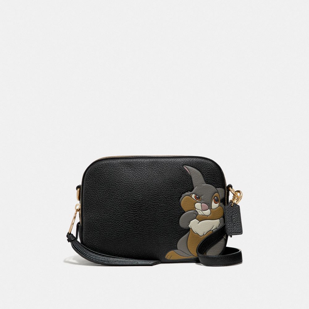 disney x coach camera bag