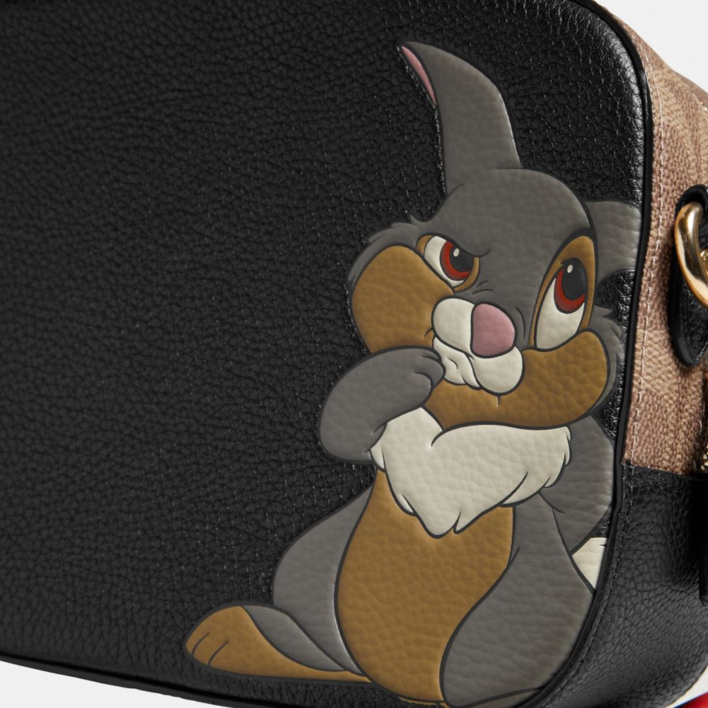 coach disney thumper