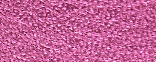 Gold/Metallic Bright Tulip