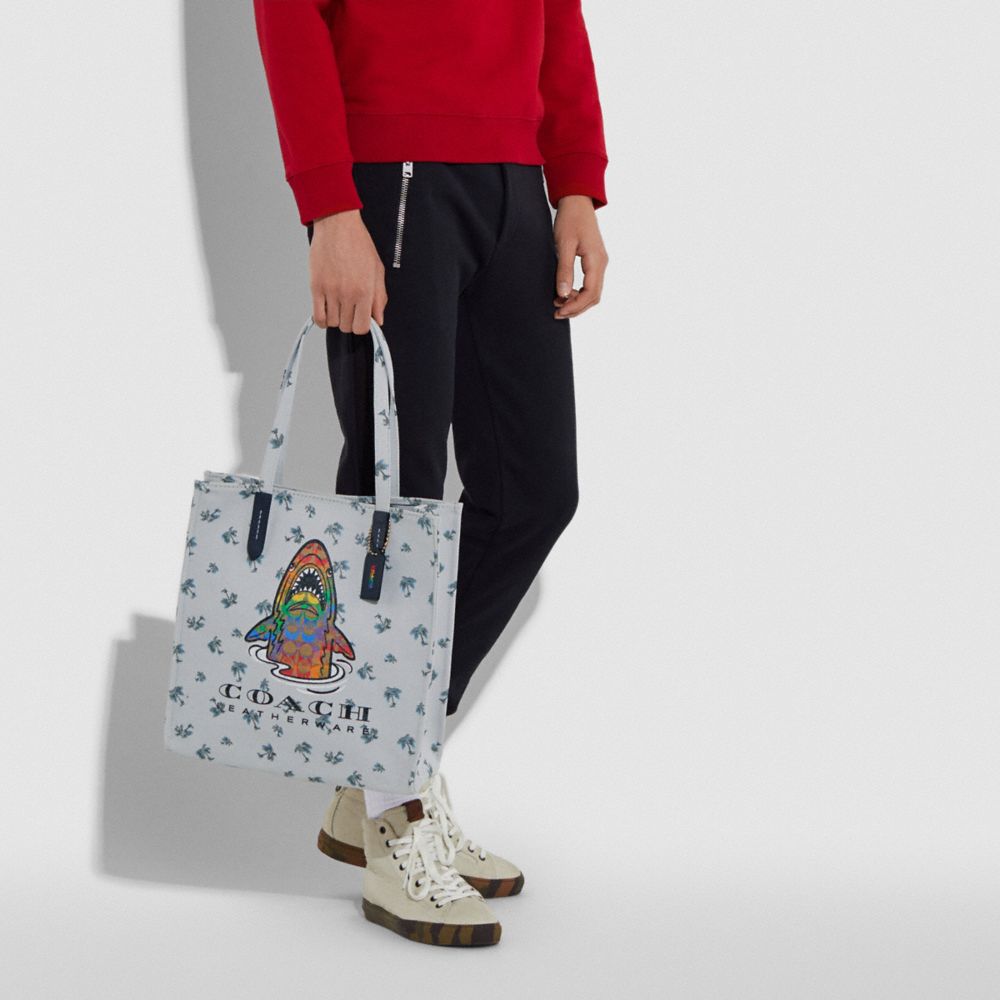 coach rainbow tote