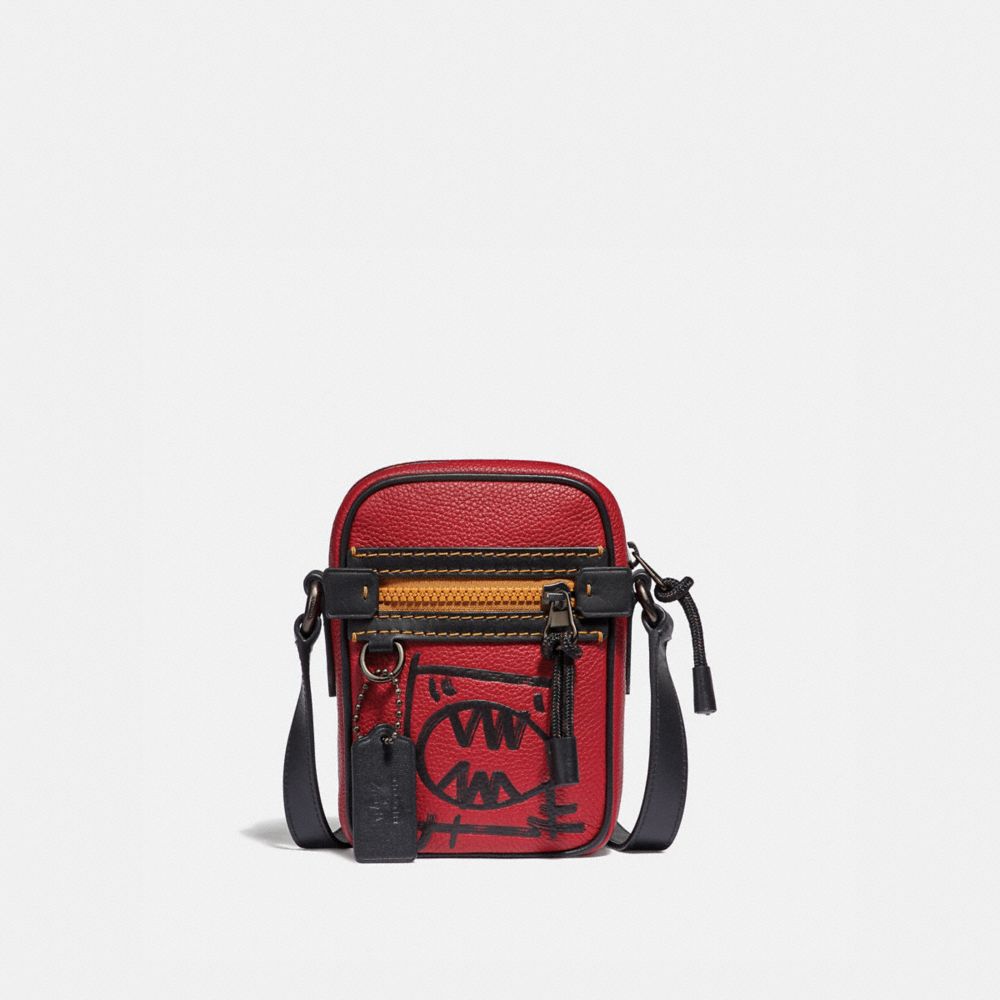 coach dylan bag