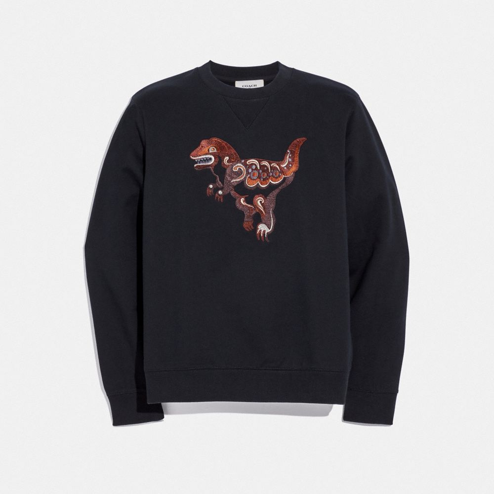 coach sweatshirt