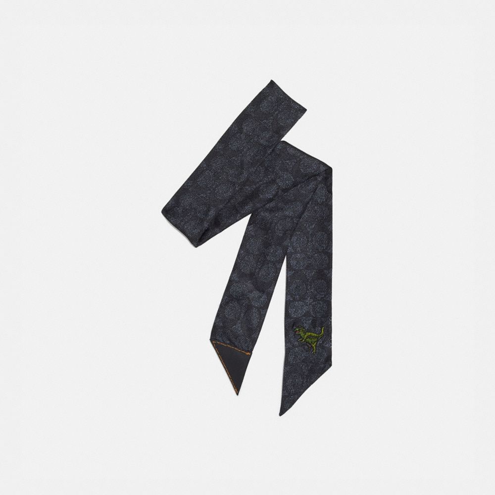 black silk skinny scarf