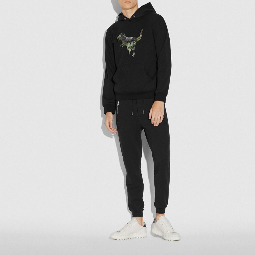 coach rexy hoodie