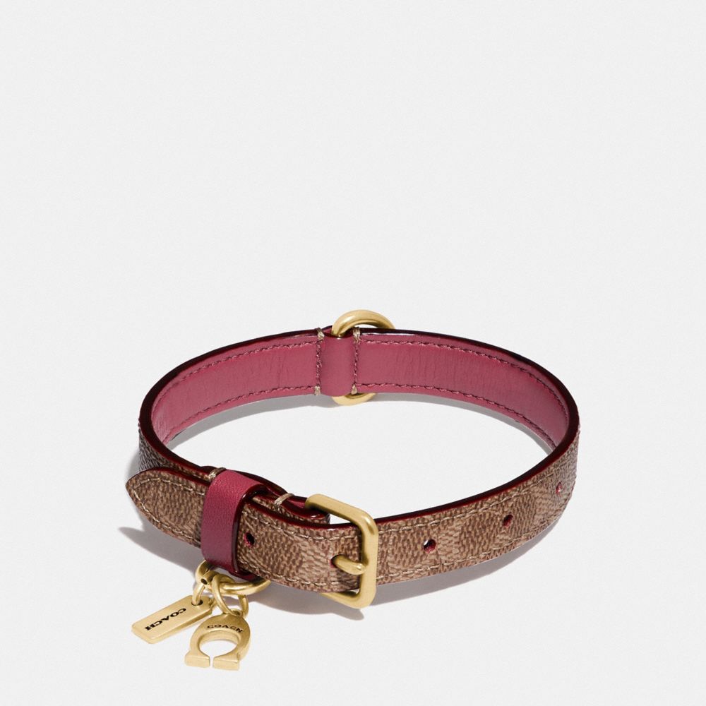 coach dog collar