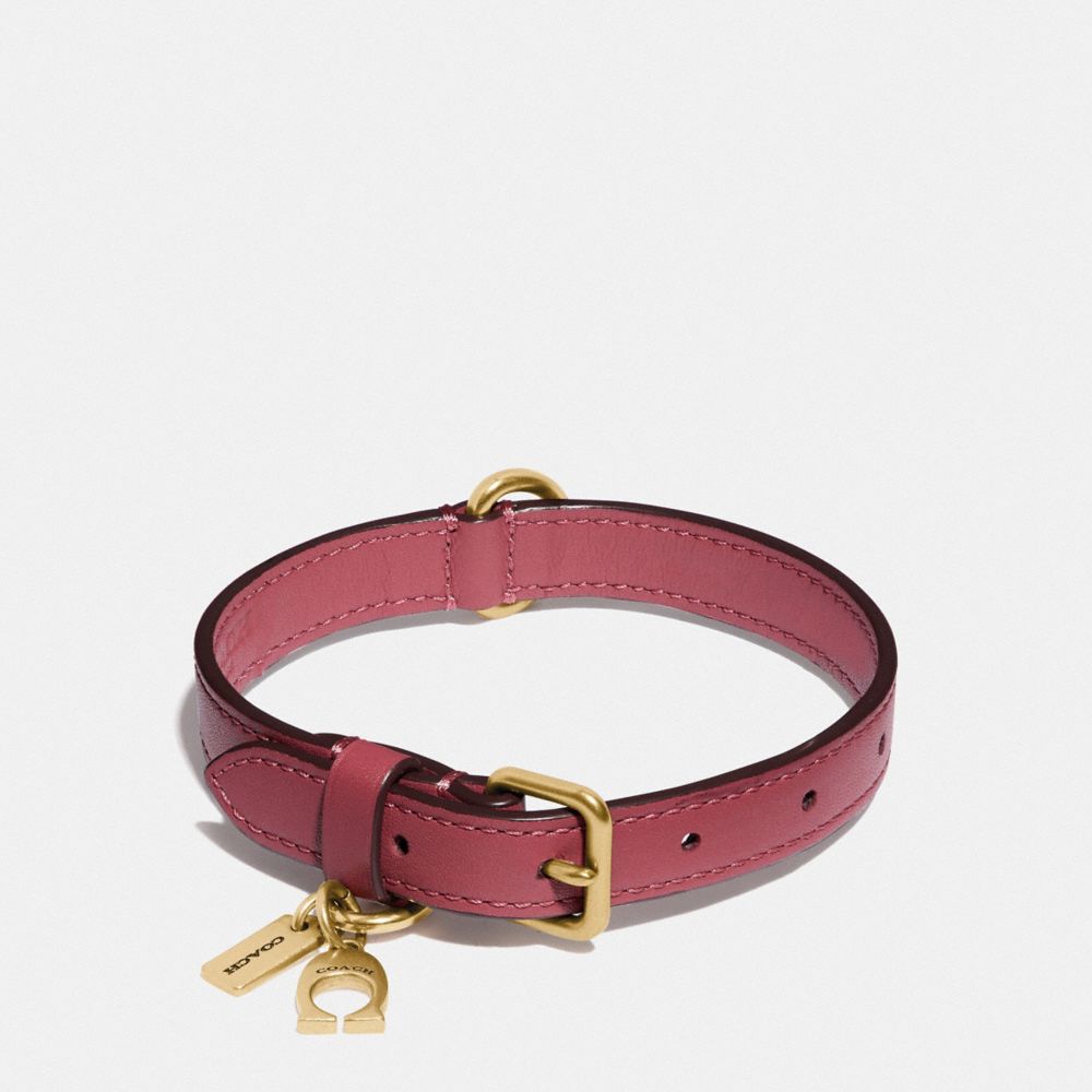 coach pet accessories