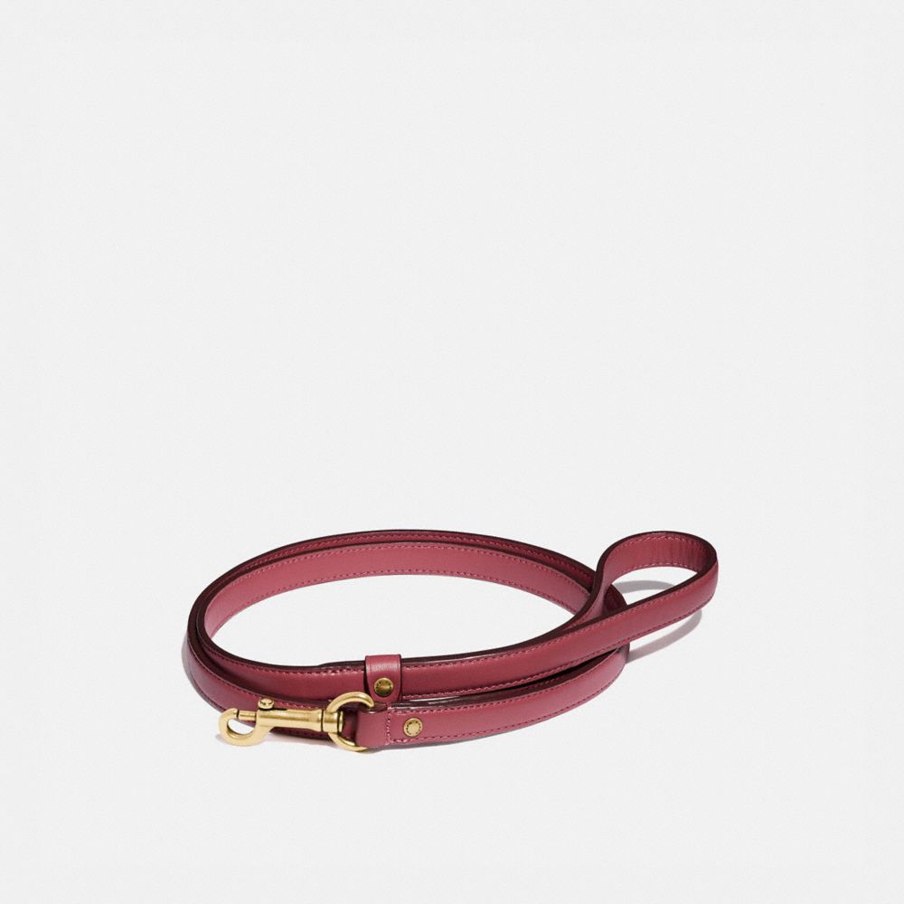 coach dog collar