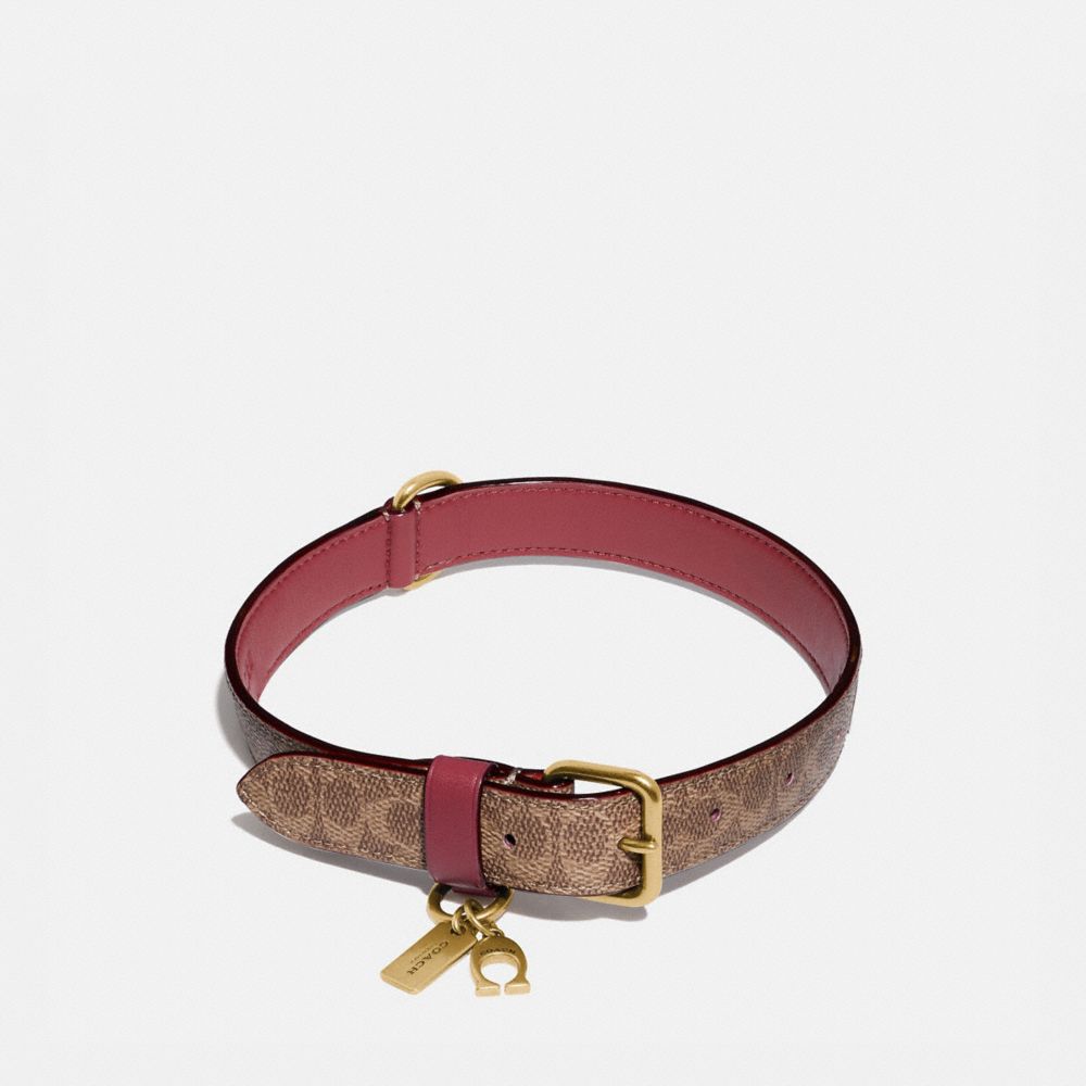 coach pet accessories