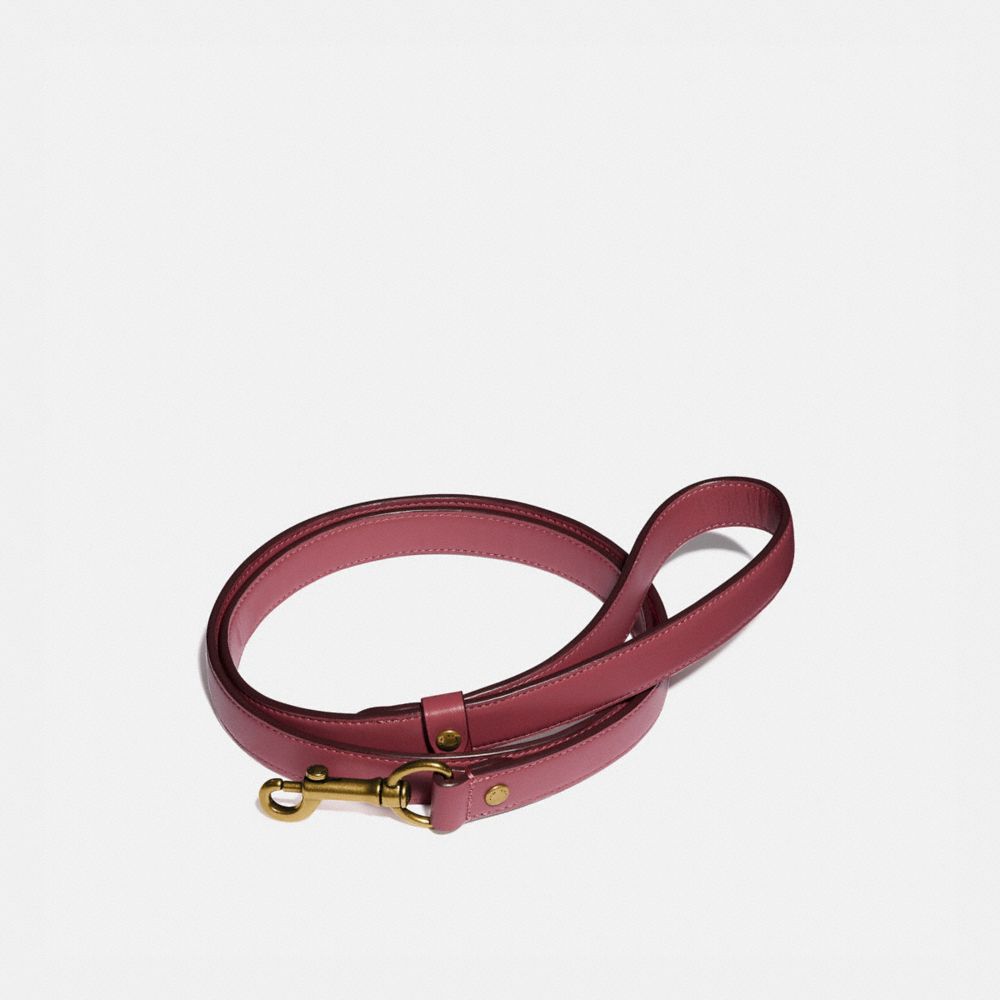 coach pet accessories