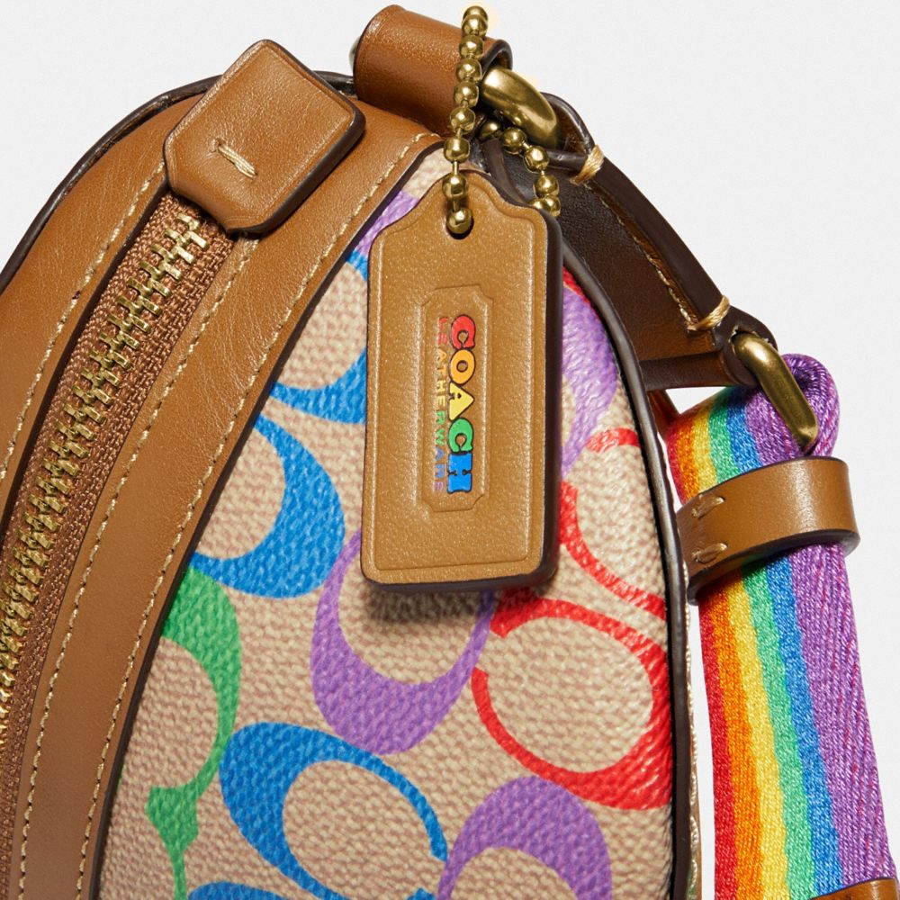 coach rainbow bag