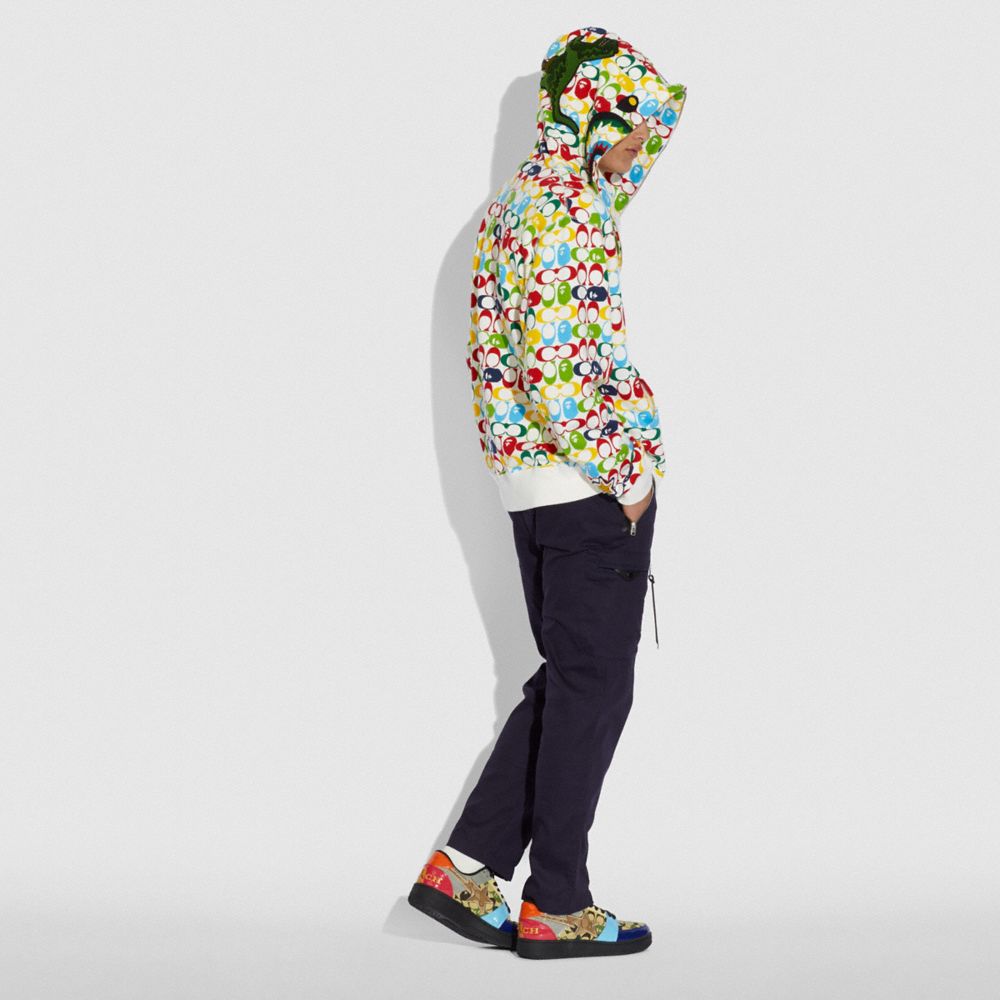 bape multicolor shark hoodie