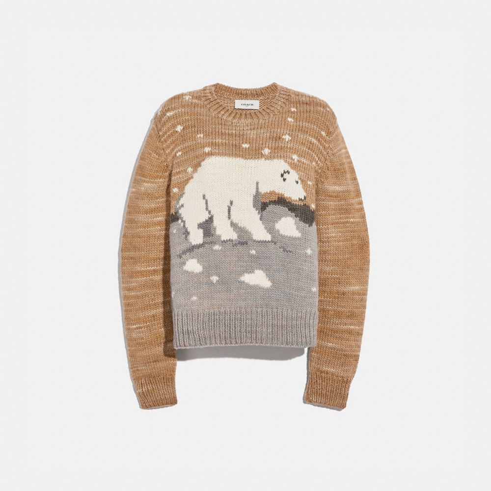 bear sweater